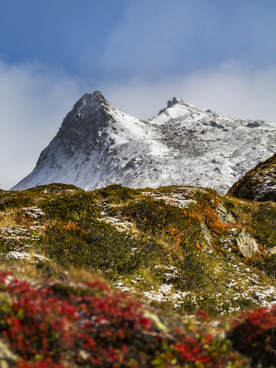 alpine, mountains, nature, summit, panorama, austria, steep, alpine panorama, autumn, mood, hike, hiking, grass, nature, nature, nature, nature, nature, austria, austria, austria, autumn